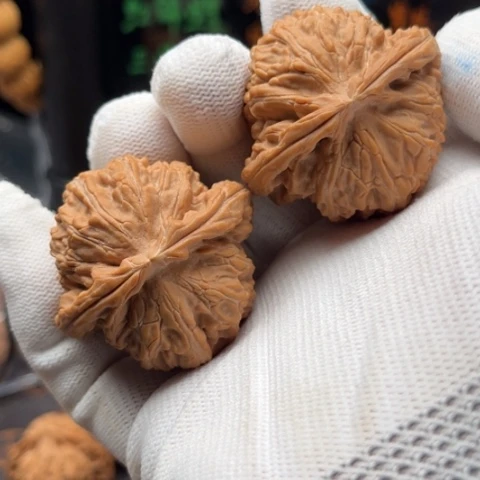 把件文玩核桃白狮子