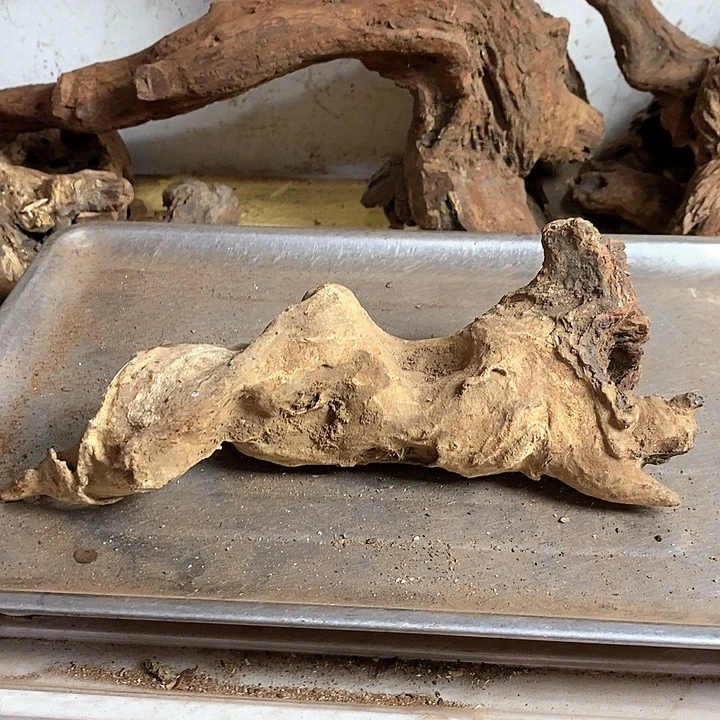 花梨木类引*人海南黄花梨