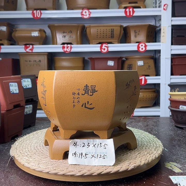 紫砂花盆蛇年大吉