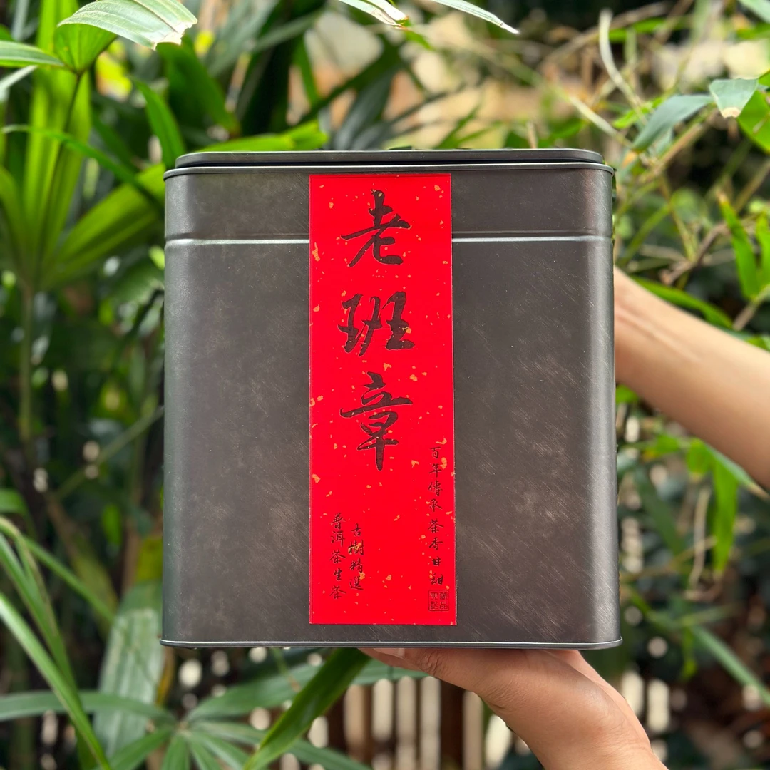 黑金老班章 普洱茶生茶 散茶
