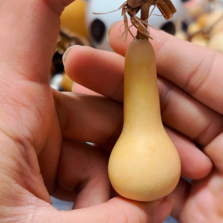 萍*r8888888888888888888