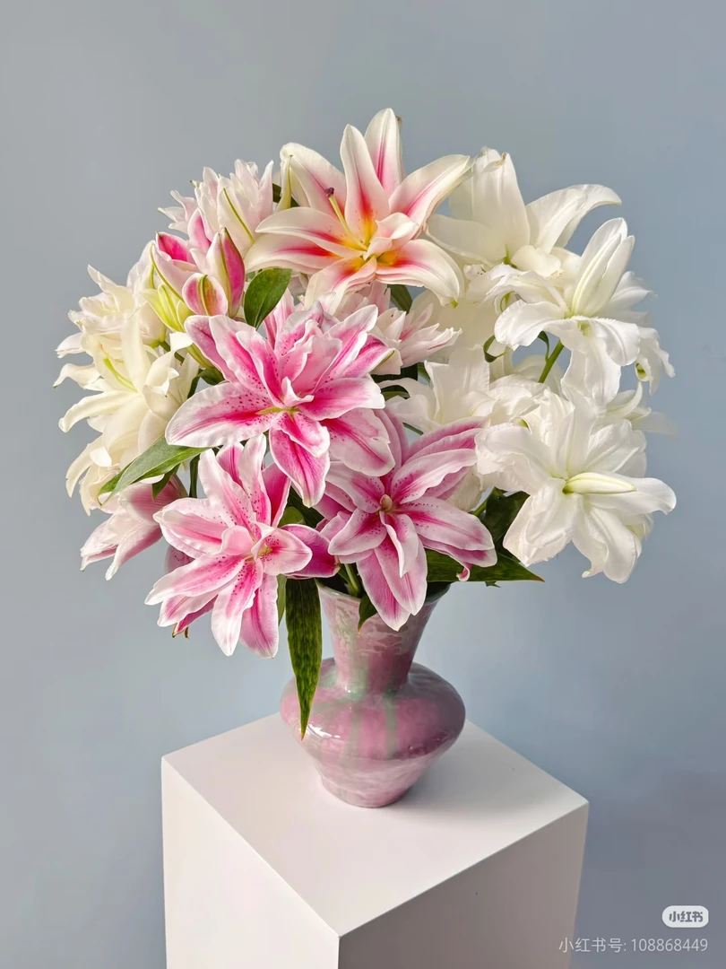 【pp百合】鲜花鲜切花（包邮）