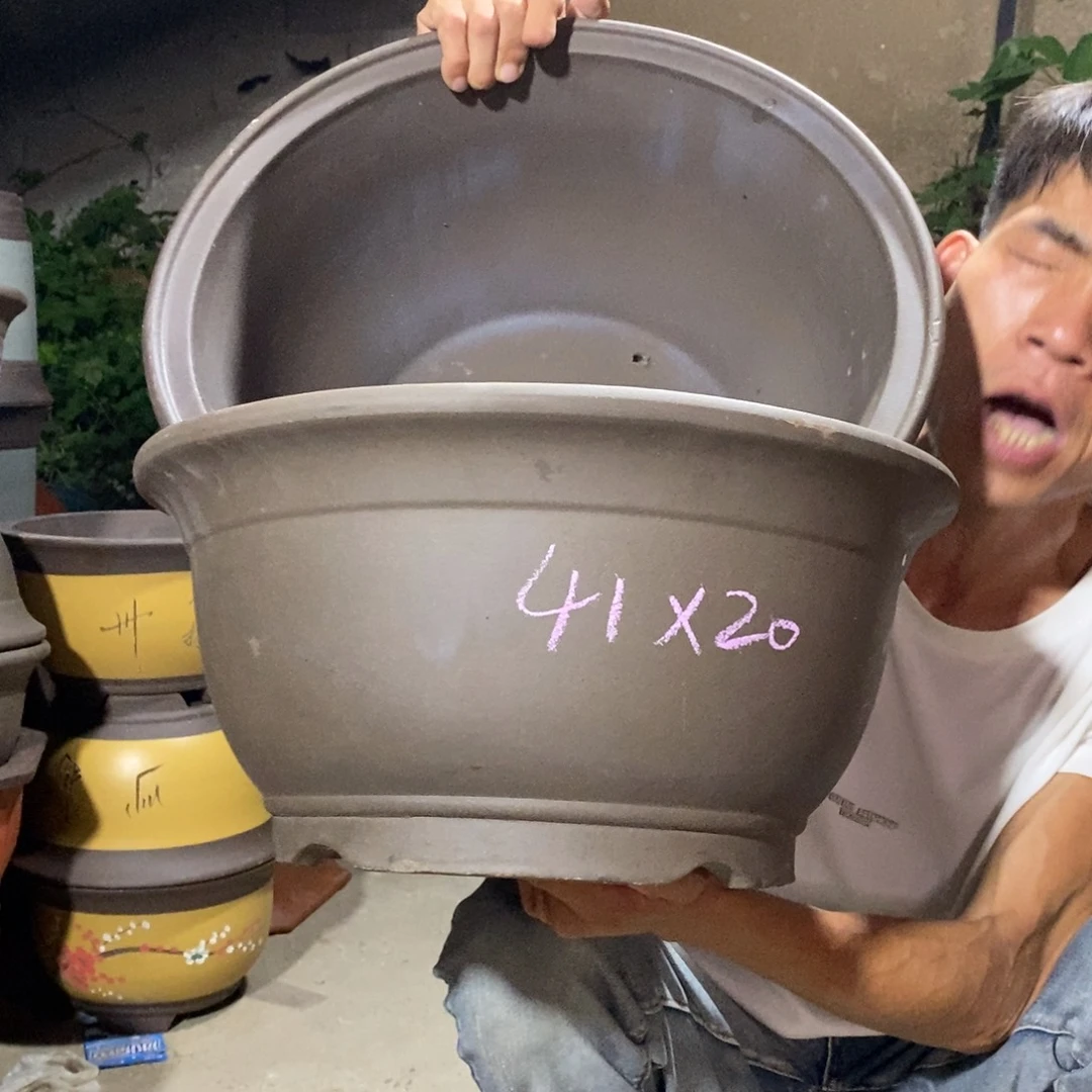 紫砂紫砂紫砂紫砂紫砂
