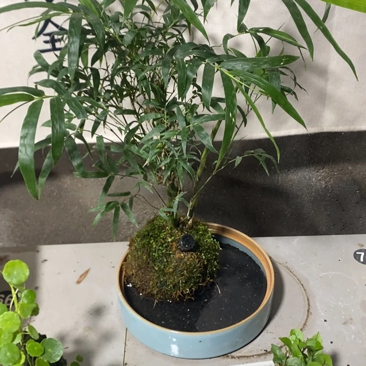 吞***奶无花朵退款拉黑拉128