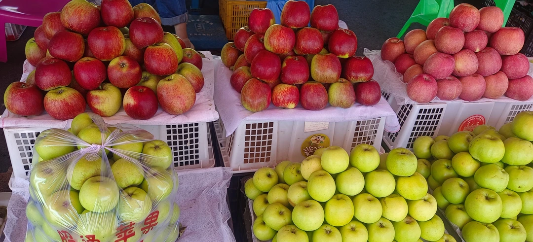 青香蕉苹果，华硕苹果