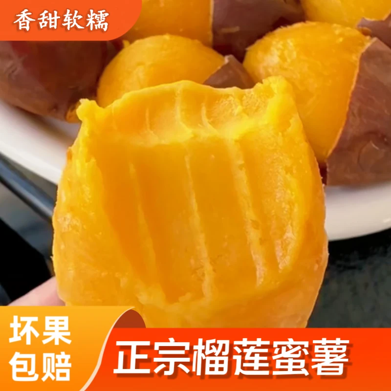 【高端金瑶蜜薯】优质赤焰薯黄金蜜薯鸣门金时红薯高端地瓜美味香甜