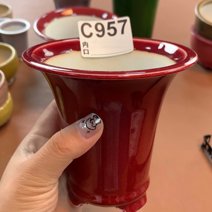 8✖️9.5朗红花盆哦