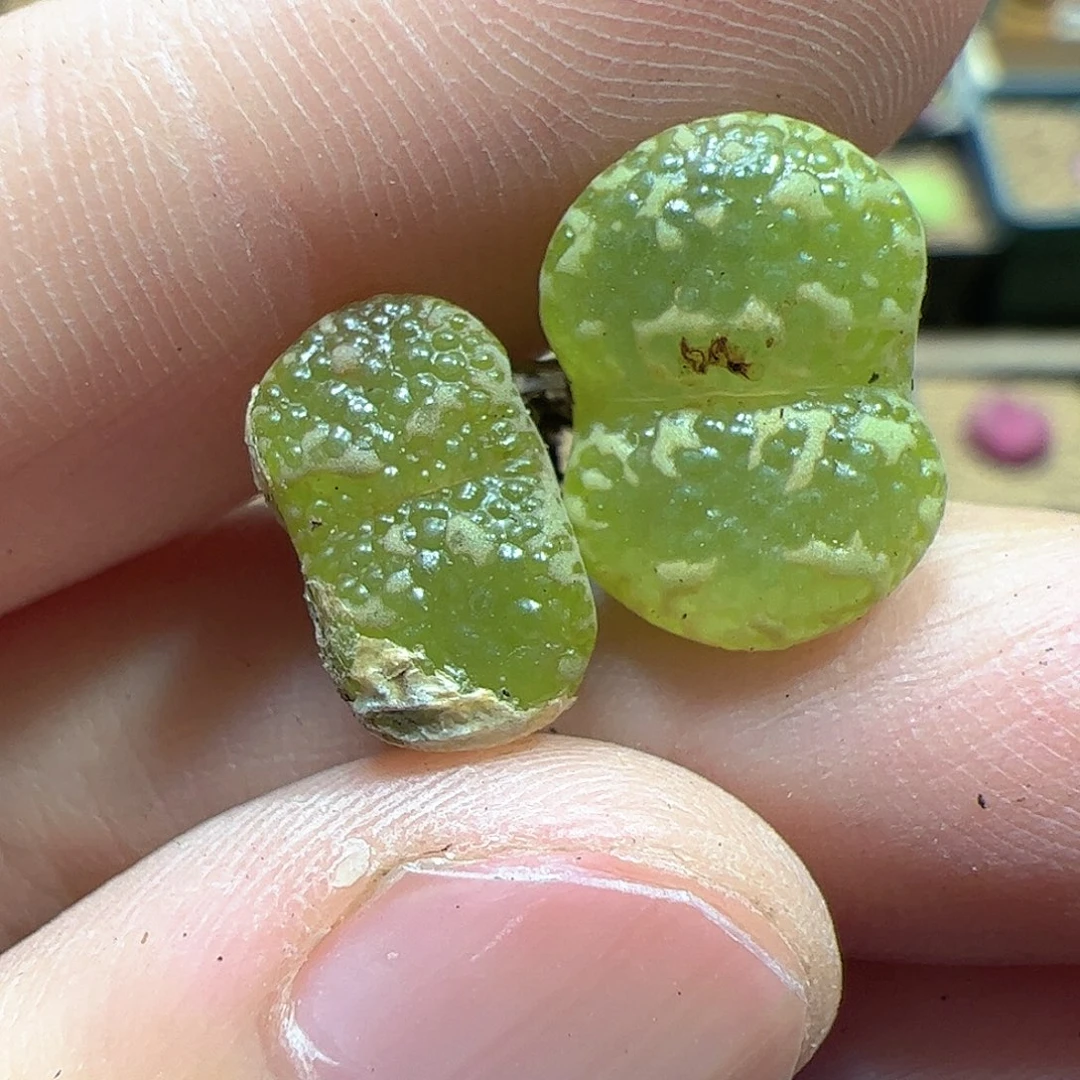 【闪购商品】是***～347 福利