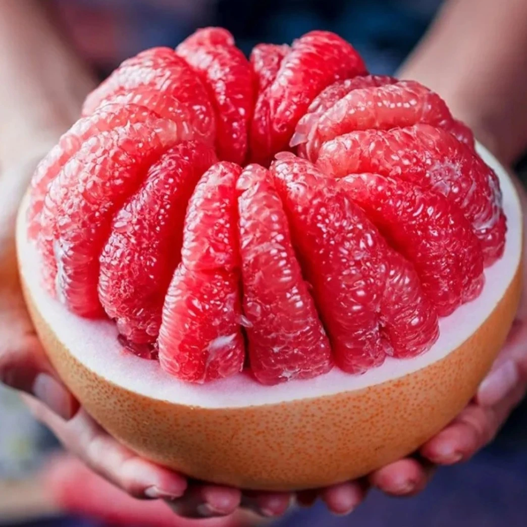 三红蜜柚、水分大