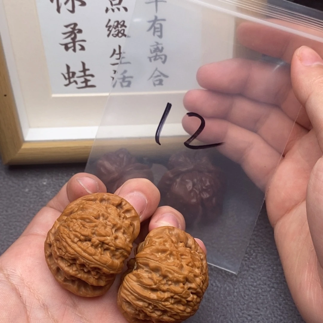 把件文玩核桃白狮子41尺全品
