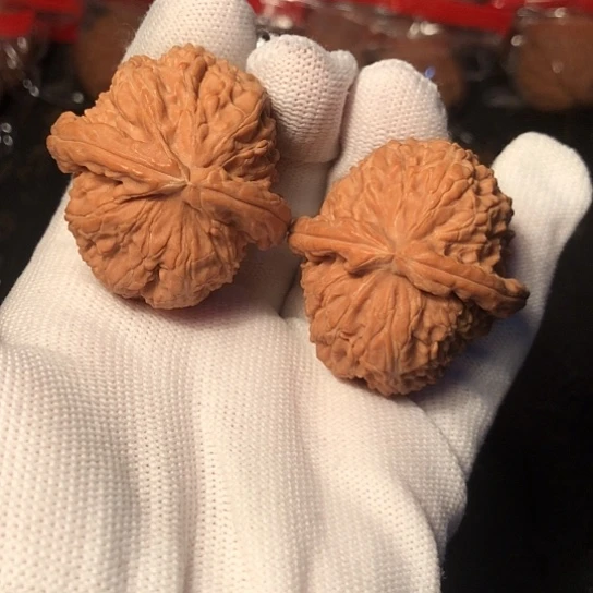 把件文玩核桃白狮子40