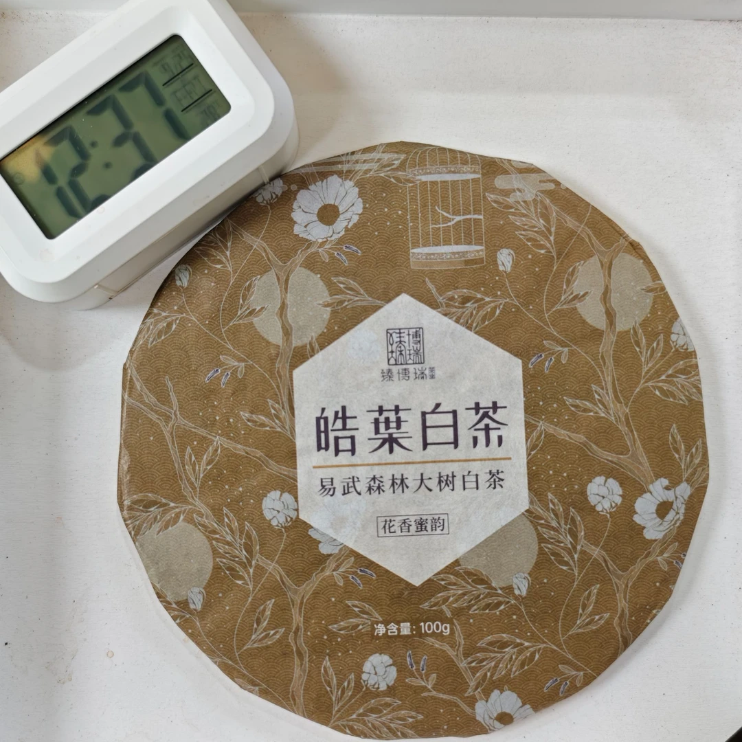 2023年 易武杨家寨 大树春茶 白茶手撕饼100g 9月25日 【007】