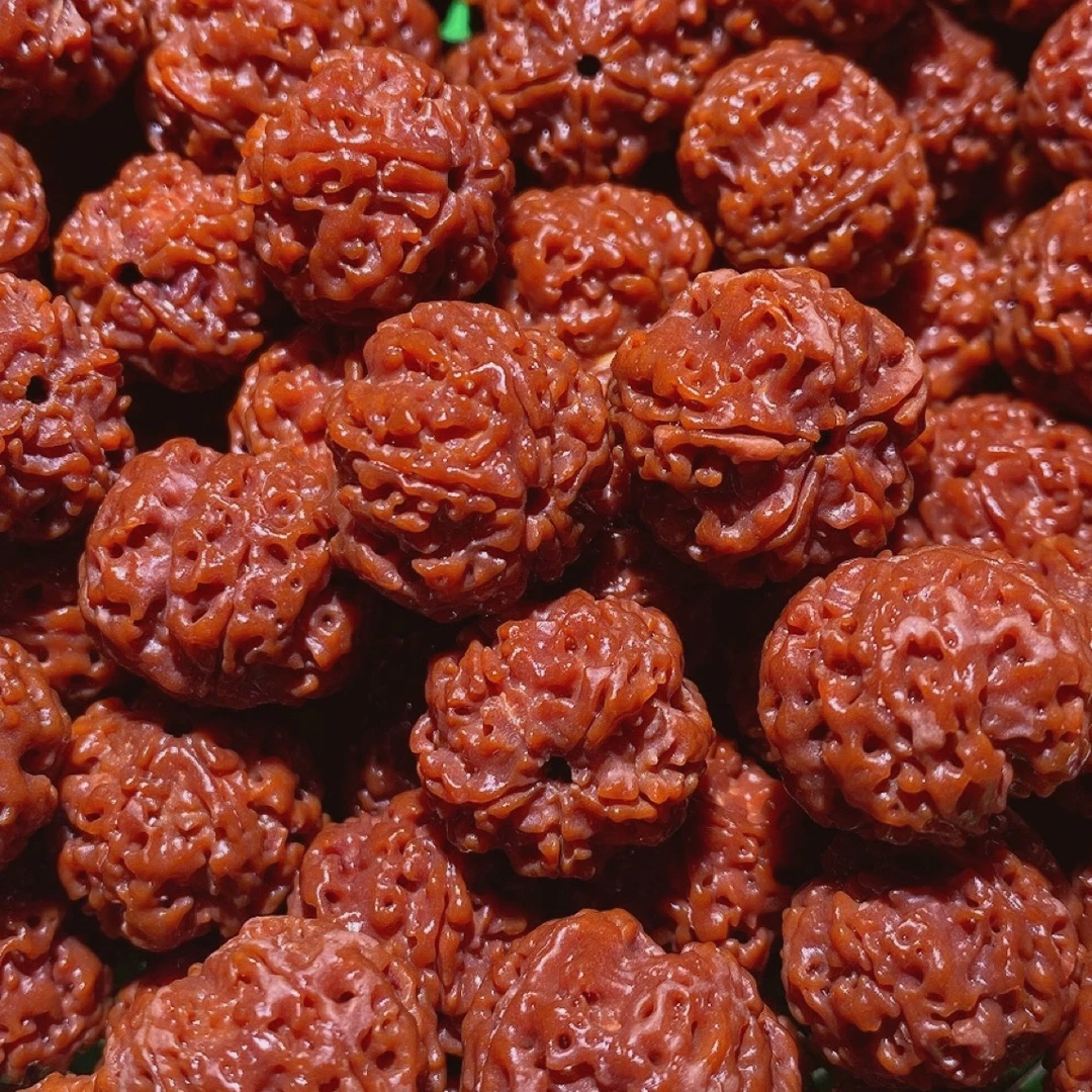 必出头货21尺寸左右0.8公斤金刚菩提散籽文玩手串散籽尼泊尔发货