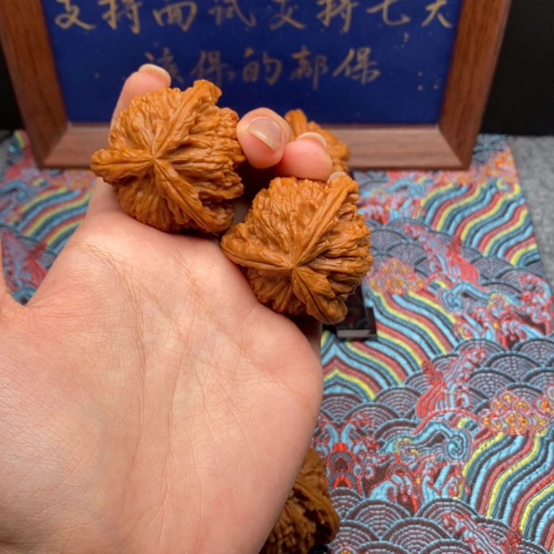 【闪购商品】响*卷白狮