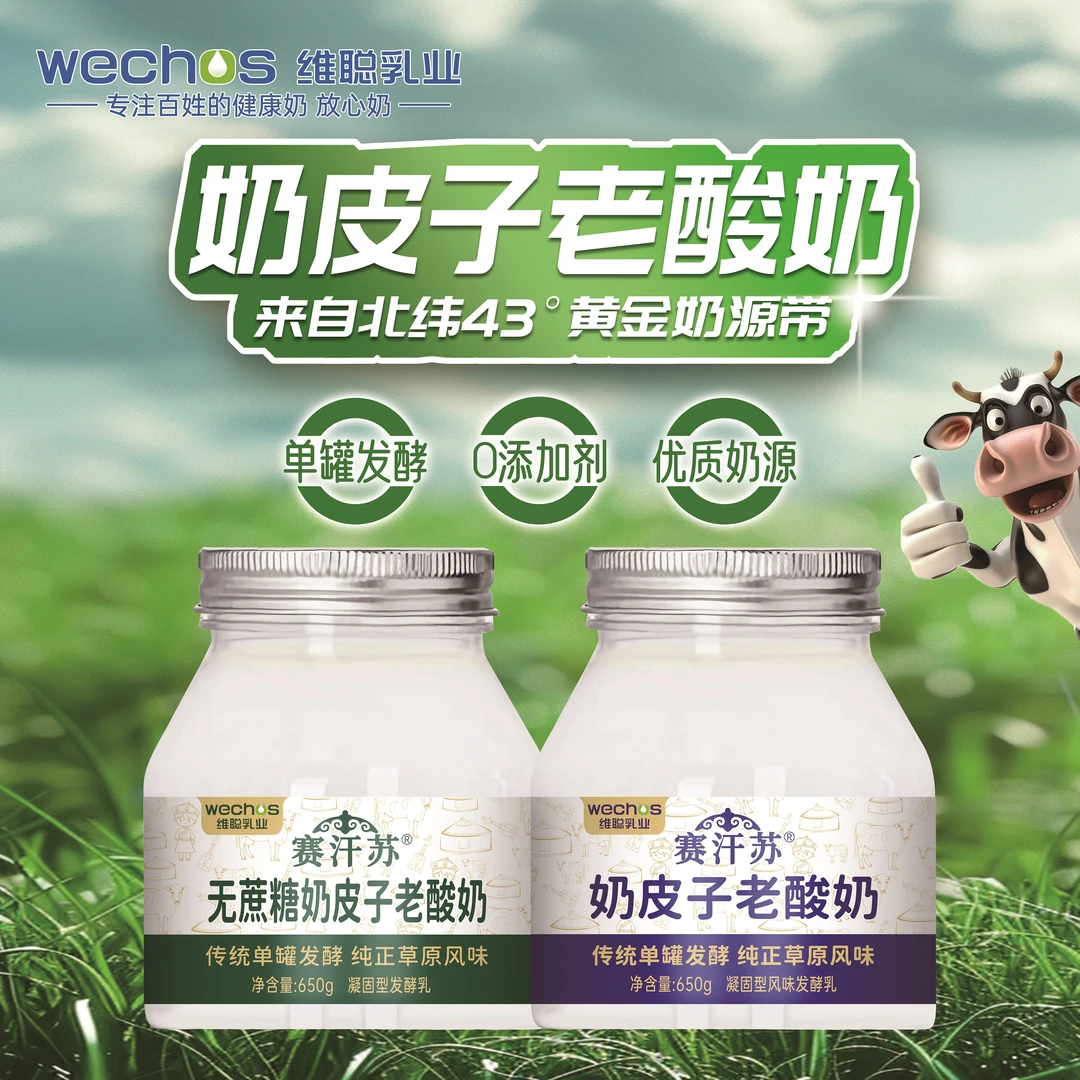 赛汗苏奶皮子酸奶650g/罐内蒙古酸奶传统奶皮子老酸奶维聪乳业