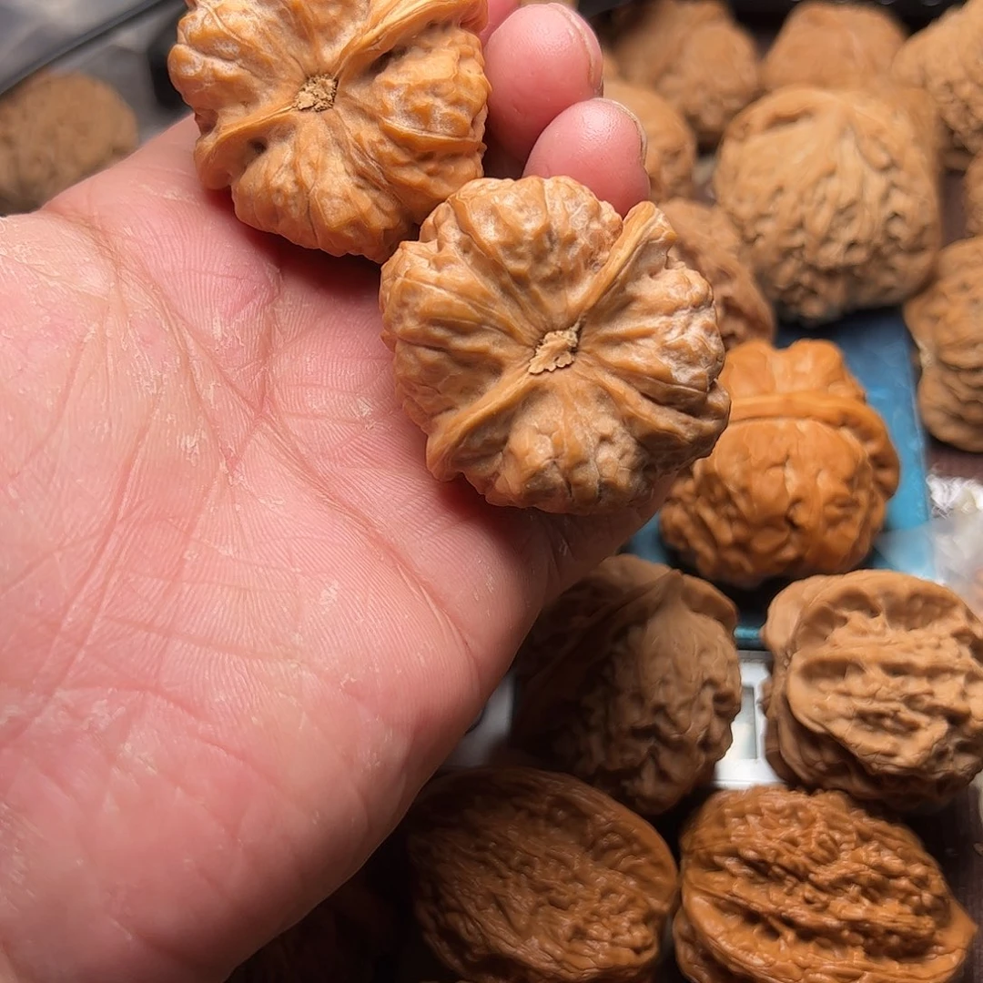 林***新文玩核桃老树蛤蟆