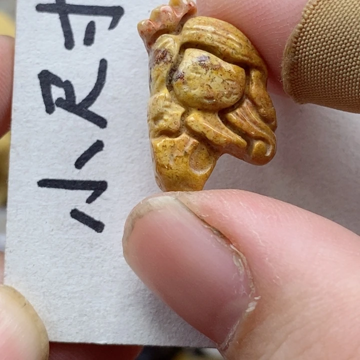 颈饰未镶嵌硅化珊瑚（珊瑚玉）