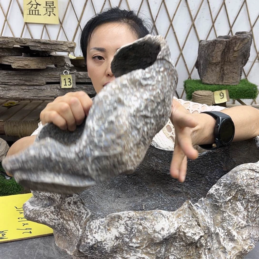 盆景盆盆景盆P1-019