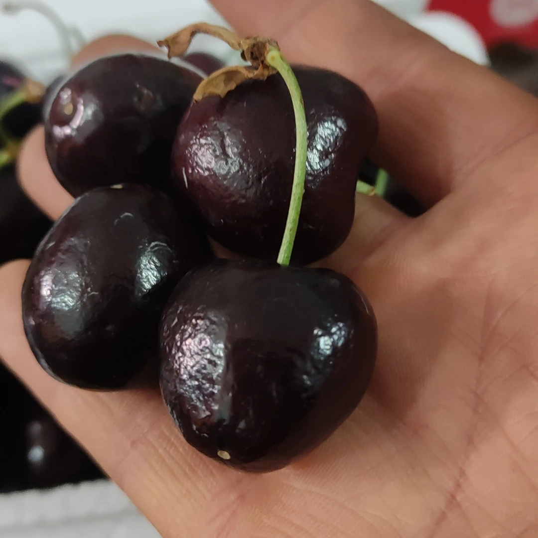 波板3Jd车厘子1kg