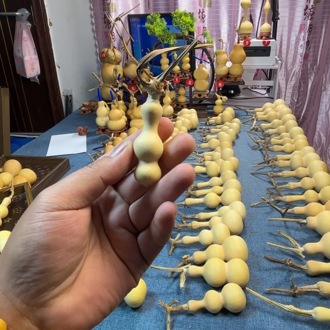 我***九葫芦葫芦葫芦葫芦