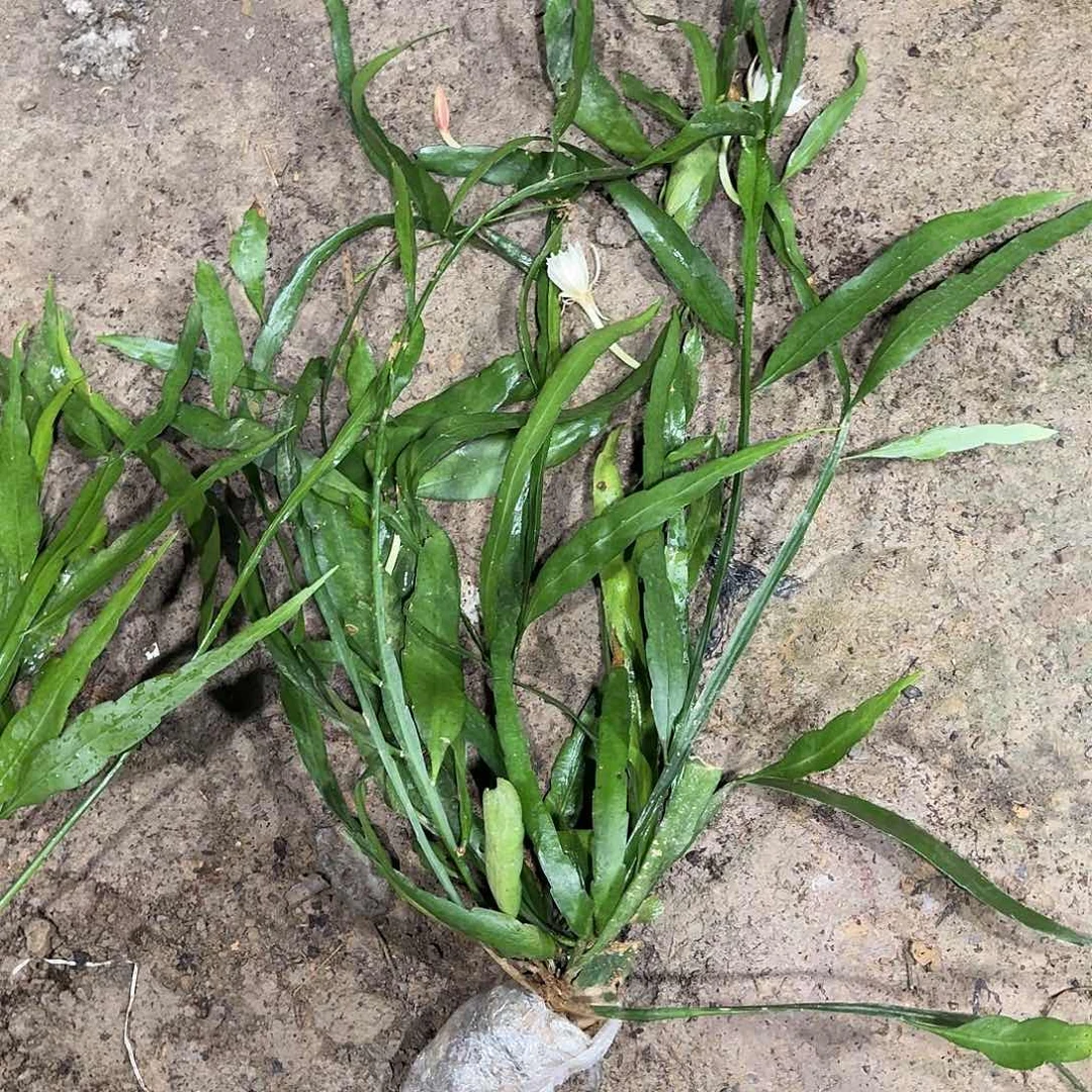 海***姐哈哈哈哈哈哈哈哈哈