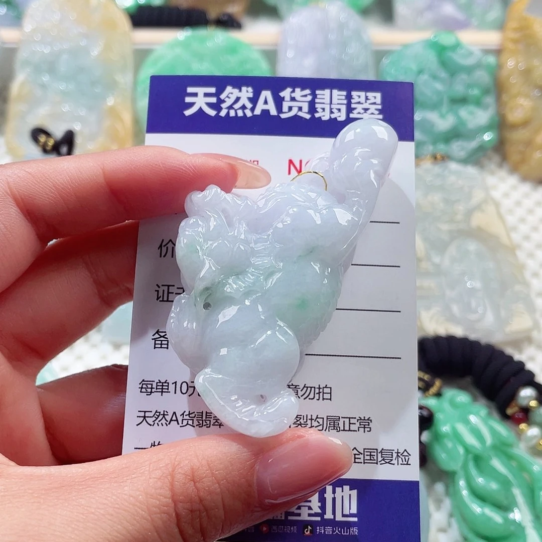 颈饰未镶嵌翡翠貔貅