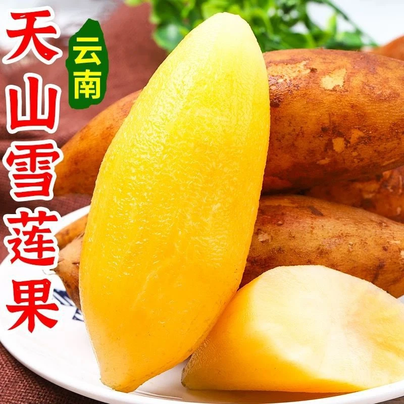 云南天山雪莲果新鲜脆甜多汁低糖水果清甜爽口