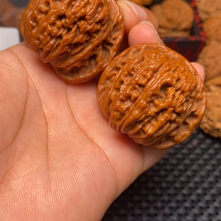 秦岭野生111111111