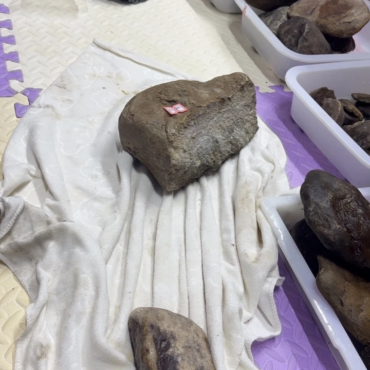 闲***鱼岫岩河磨玉（透闪石质玉）未镶嵌颈饰