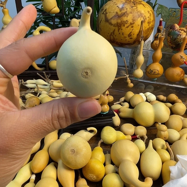 肆***佰藤手把葫芦精品系列9