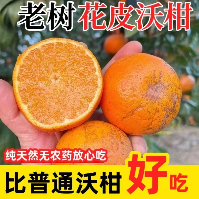 云南高原沃柑带箱10斤果园直发新鲜应季薄皮水果