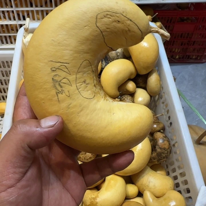 我***然哈哈哈哈哈哈哈哈哈哈哈哈哈