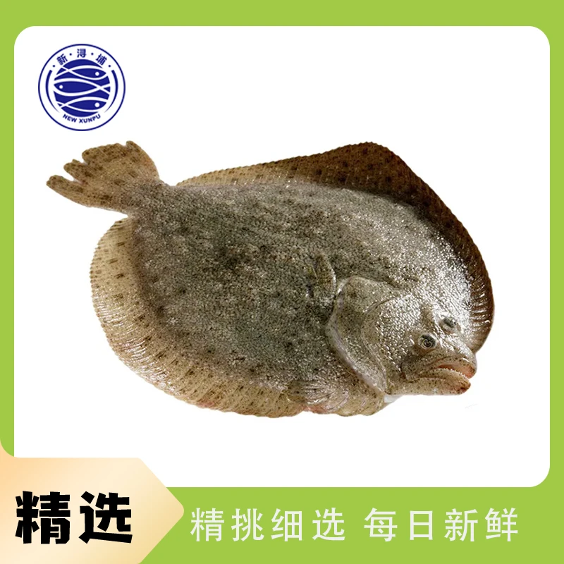 【活鱼】多宝鱼1条/500g±30g