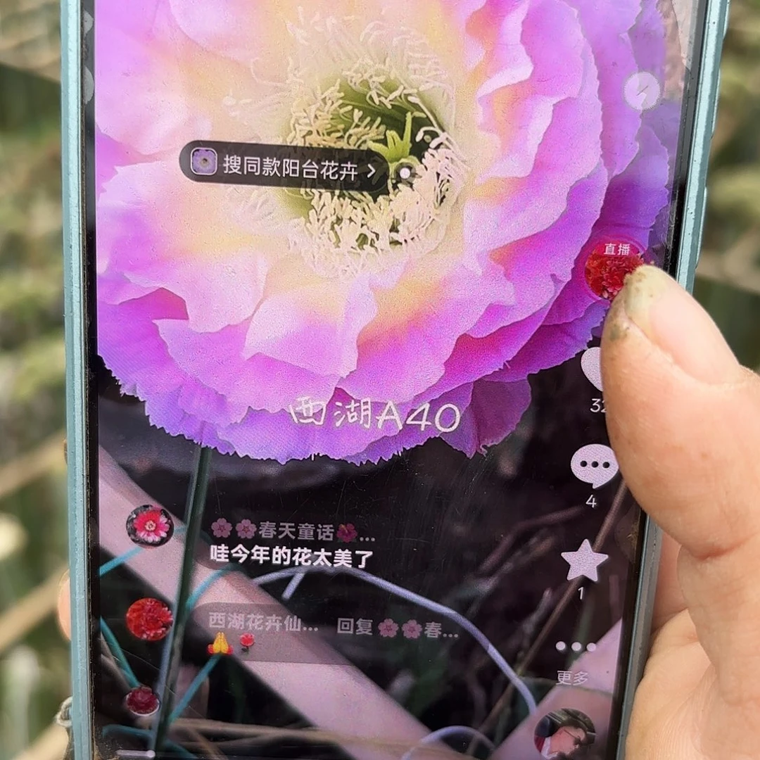 A40无根侧牙四左右北头