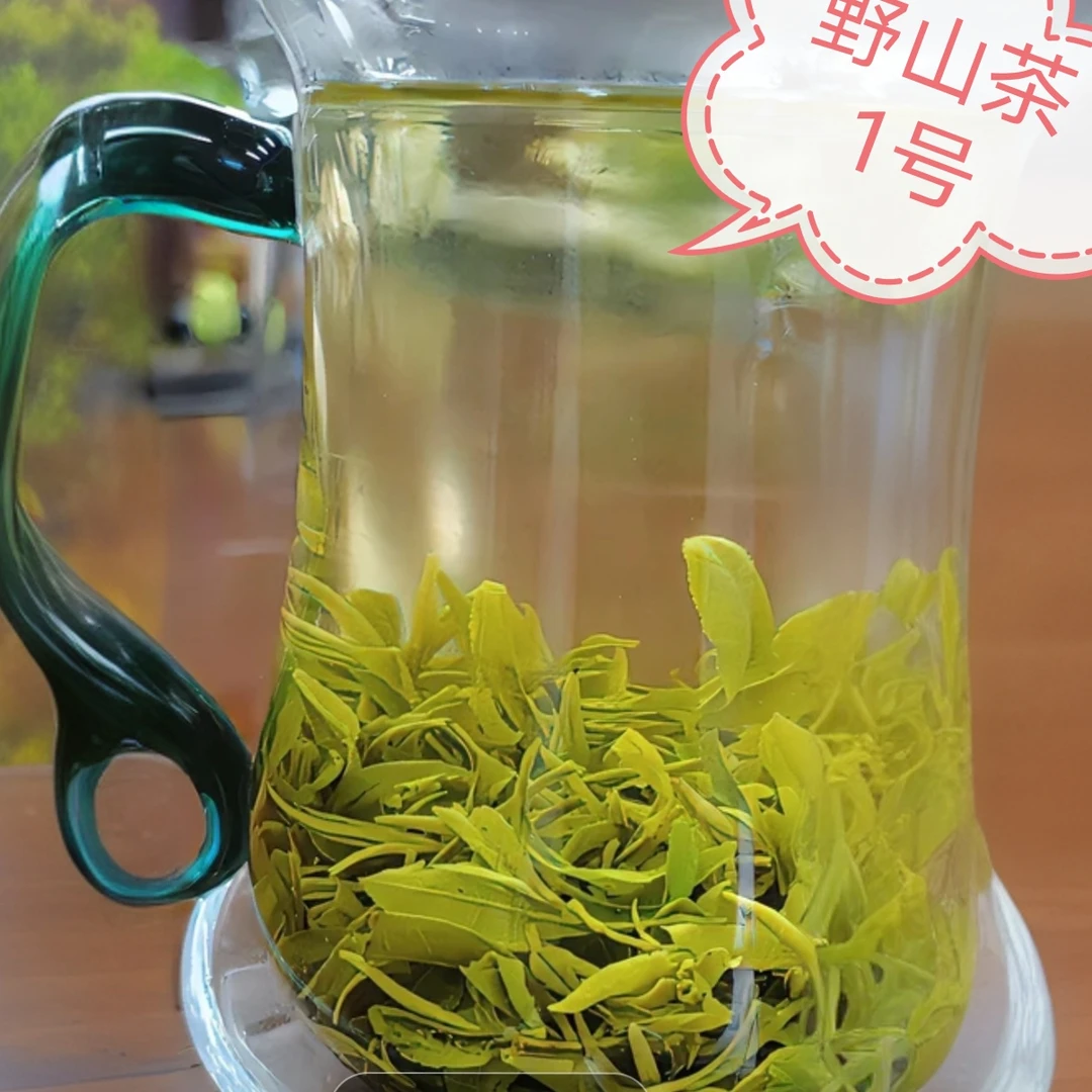 绿茶野山茶1号、谷雨前期口粮茶，粟香花浓回甘久，传统高山产区