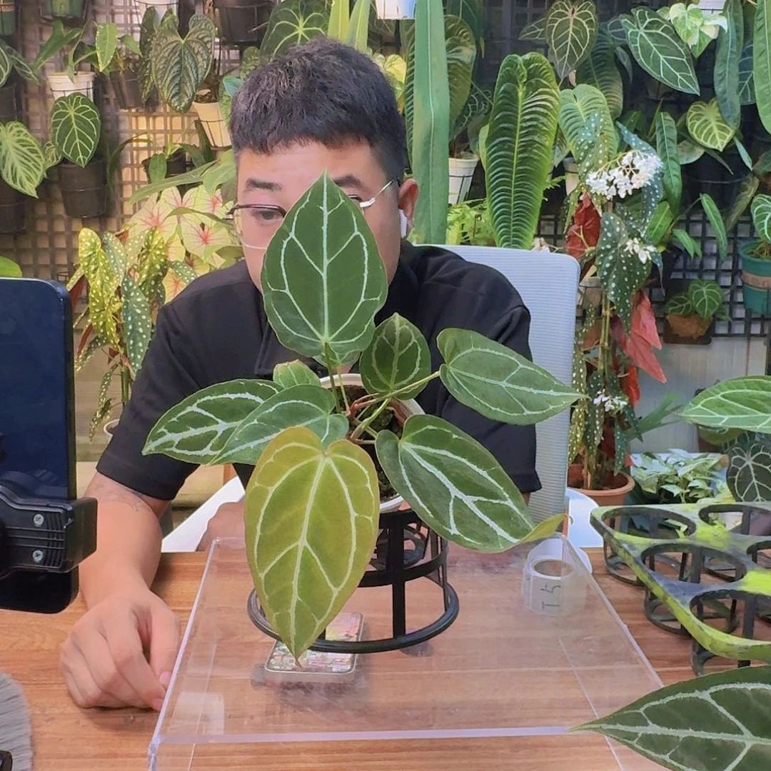 绘***人完全开放一物一拍T5