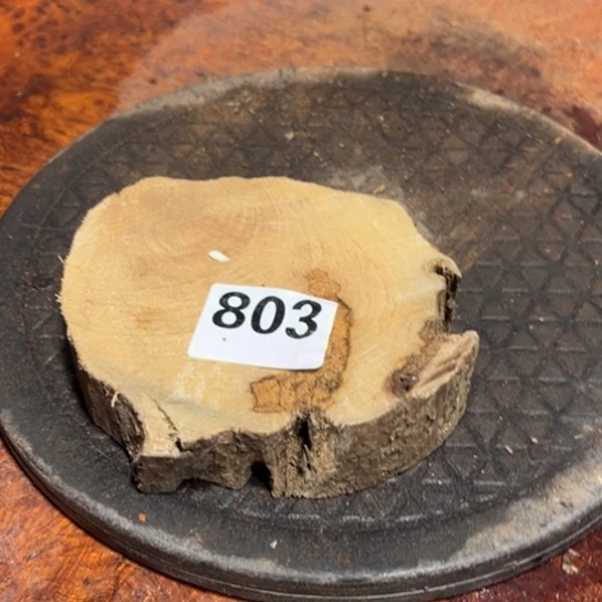 大果紫檀（缅甸花梨）