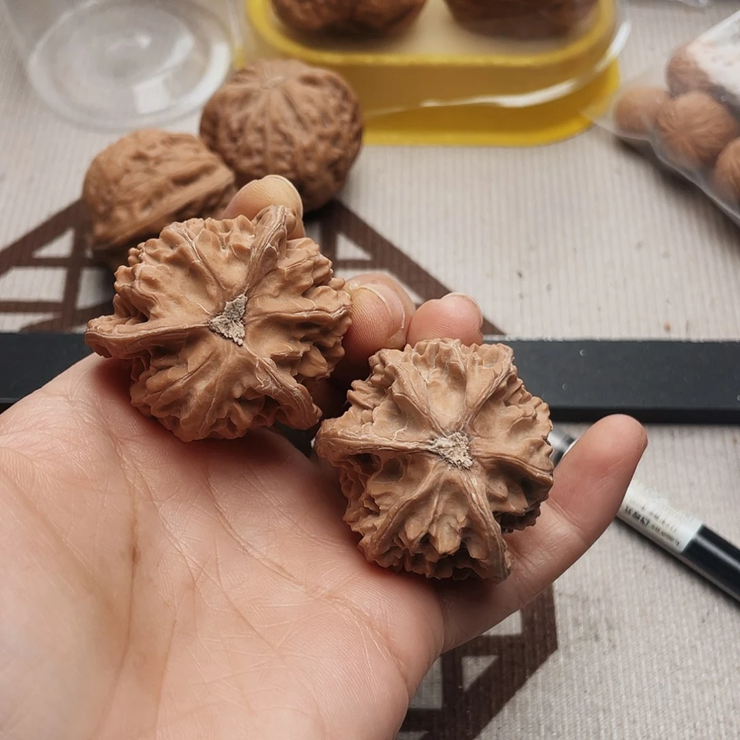 樱***蛋三棱或二瓣组成花环