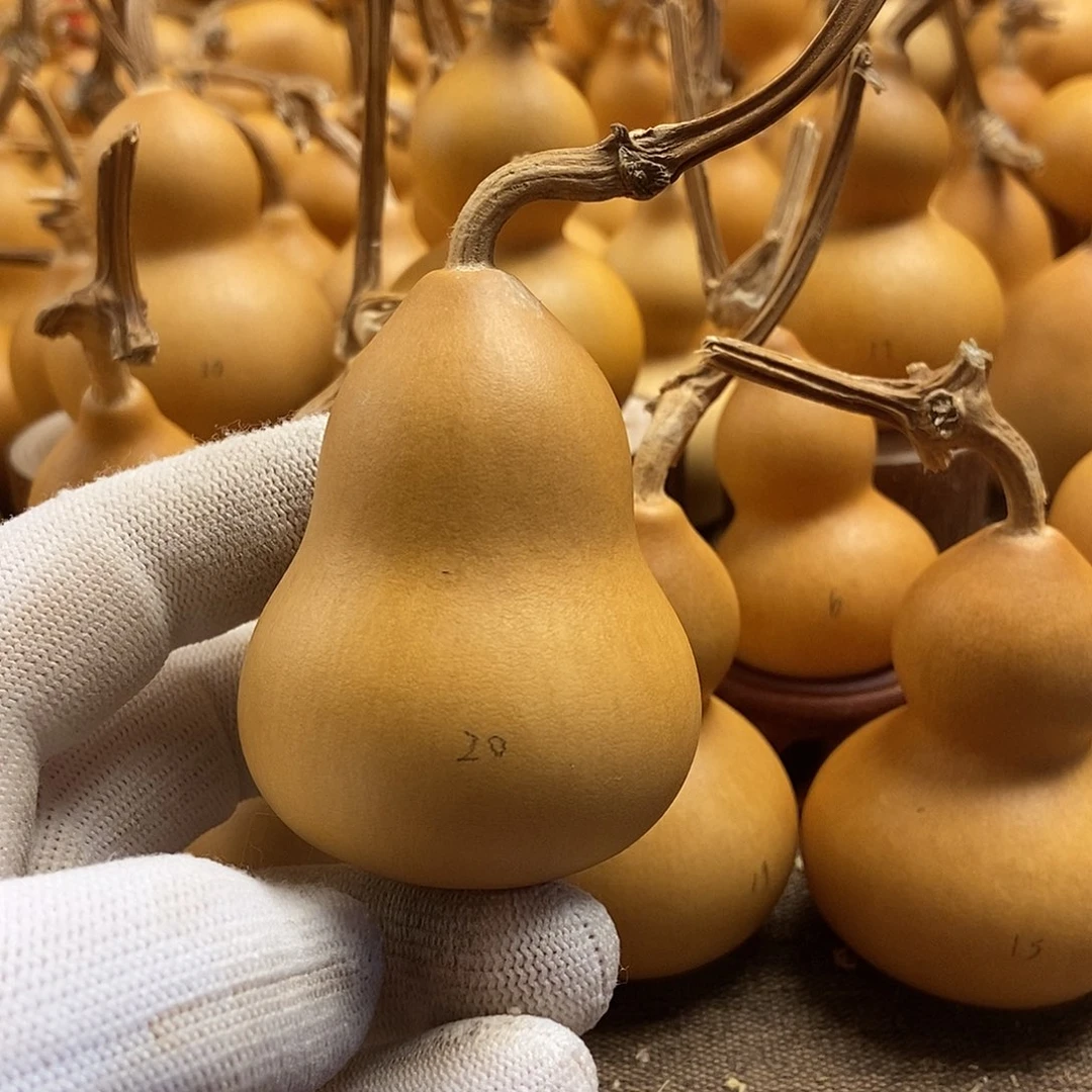 文玩葫芦 完美主义者 慎拍20
