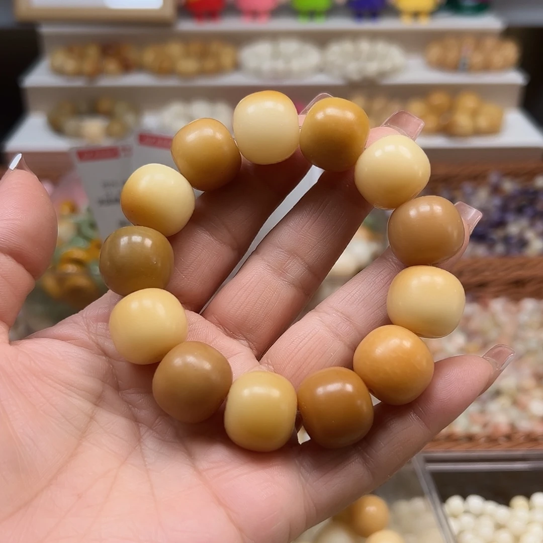 手串菩提根/象牙果卡18干磨桶一条
