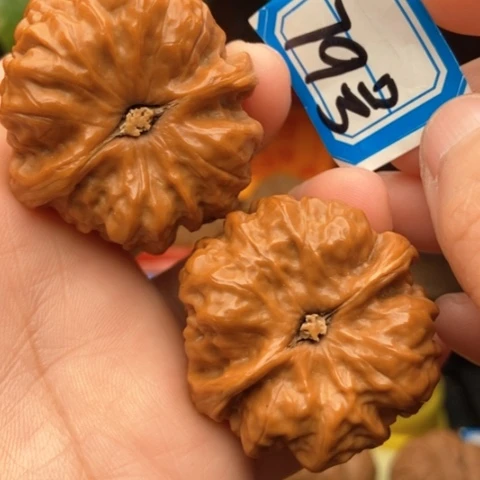 文玩核桃吊坠金蟾40