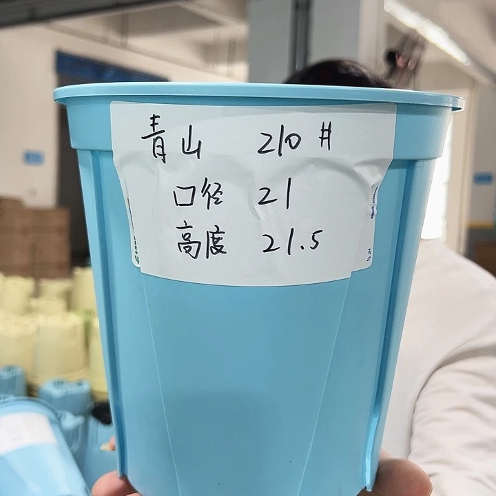 特价青山口21高21蓝色无托10只