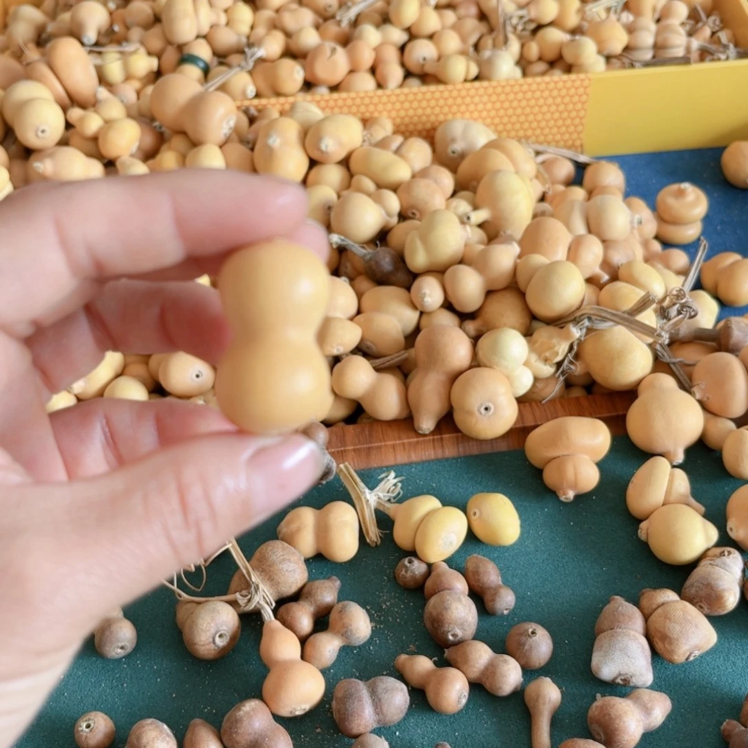 H*葫芦葫芦葫芦家里葫芦