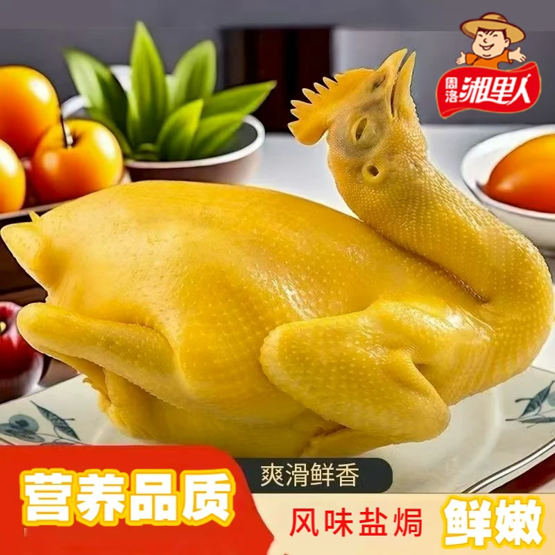 湖南盐焗鸡整只解馋熟食小吃下酒菜凉菜广式风味卤烧鸡休闲盐焗鸡