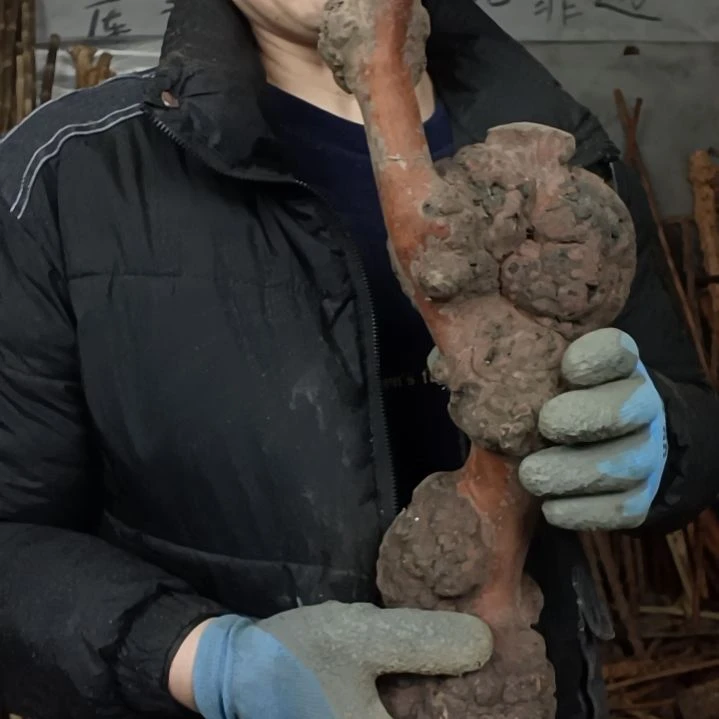 稳定木原**你贵州檬子木   铁马鞭   根艺  半成品