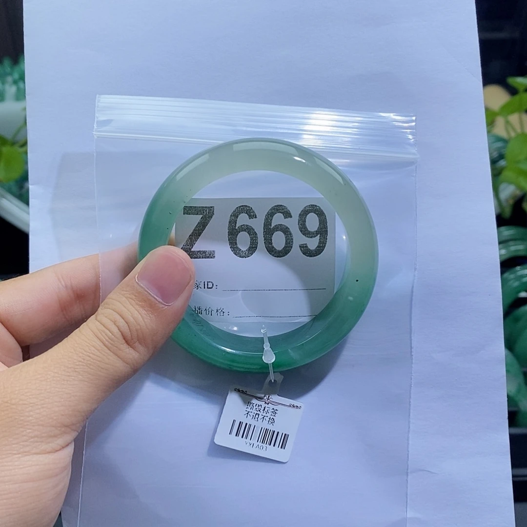 石英质玉（非洲翠）手镯未镶嵌海***朵Z669手镯54圈口