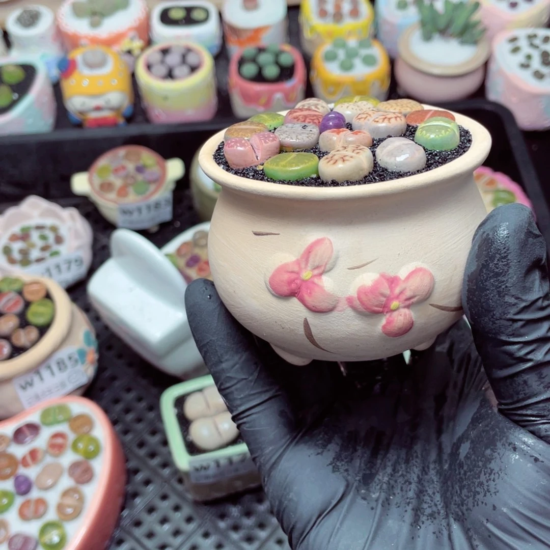 w1190-，带盆土发货，零下地区拍保温箱