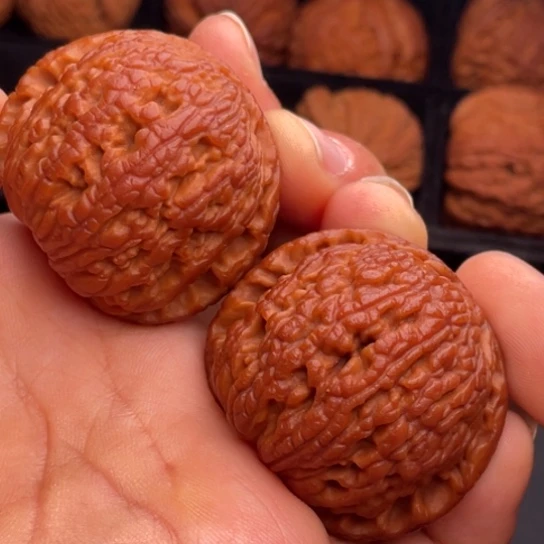 文玩核桃把件秦岭山脉核桃