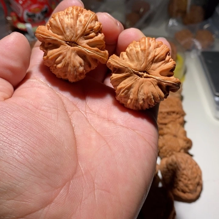团**爸文玩核桃白狮子核桃