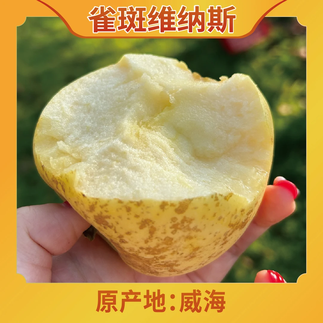 【老粉专属折扣】正宗威海雀斑维纳斯苹果当季水果脆甜多汁